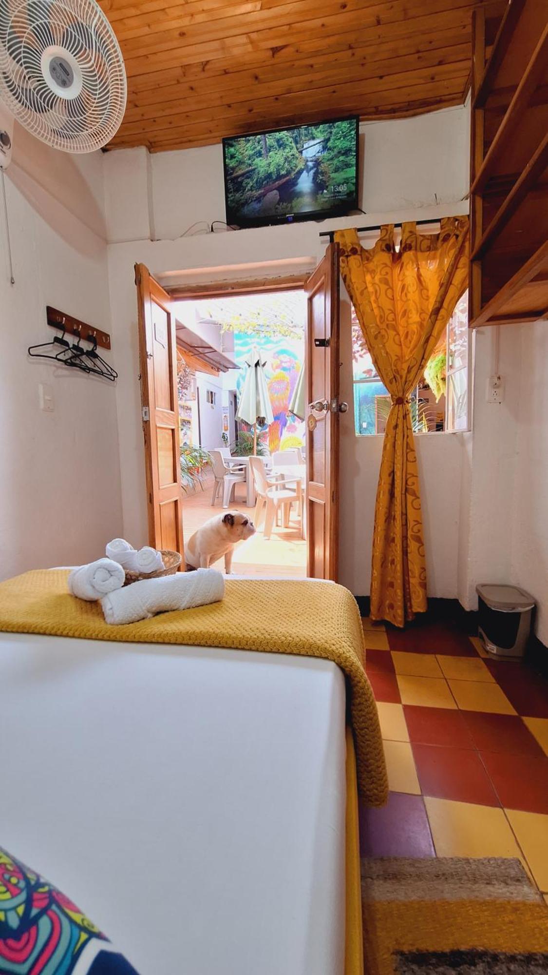 Hostal Colombian Gold Сан-Хиль Экстерьер фото